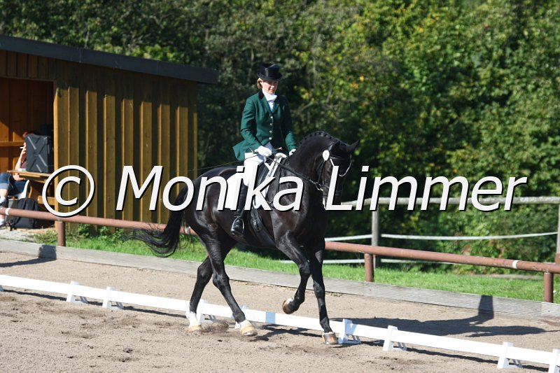 009M4458_Adele_Dressur S Nachwuchs.JPG